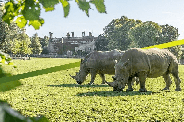 Free entry to Marwell Zoo for Belfast Zoo members