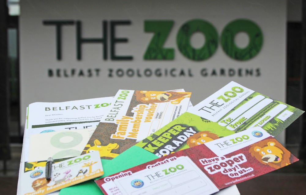 Visit the zoo this half-term to enter our prize draw
